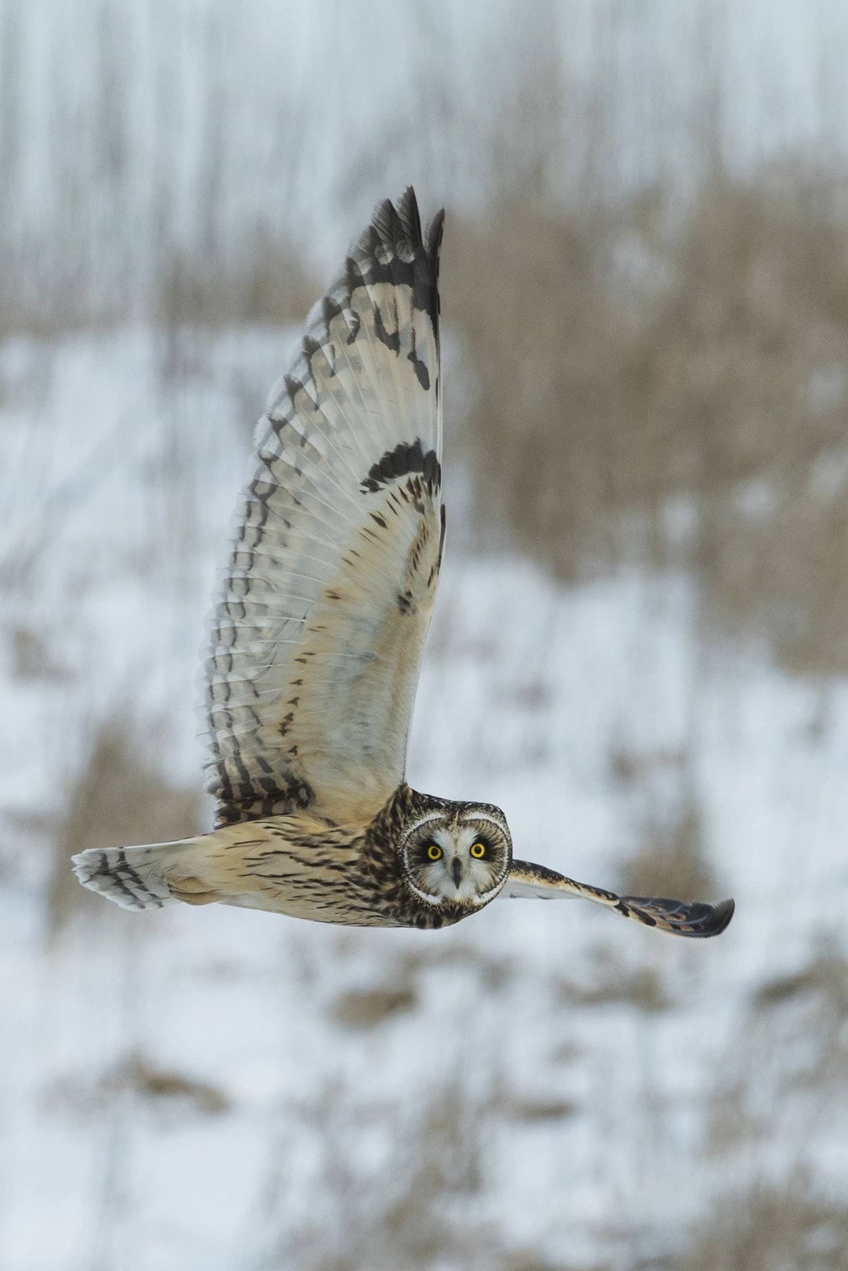 Photograph by Richard Lee / Unsplash