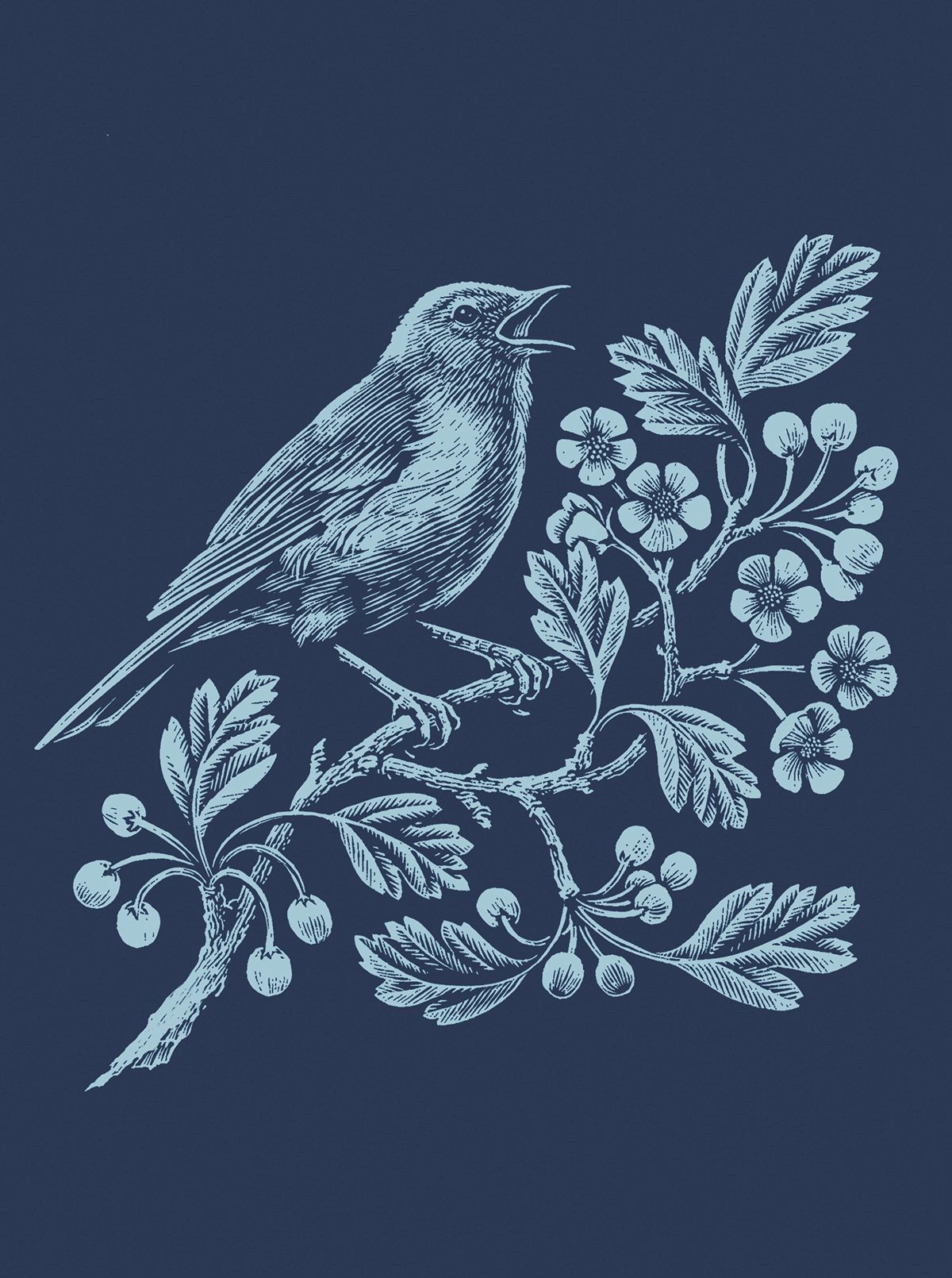 Illustration © Andrew Davidson www.theartworksinc.com