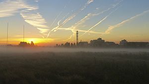 Wormwood Scrubs at dawn © David Lindo