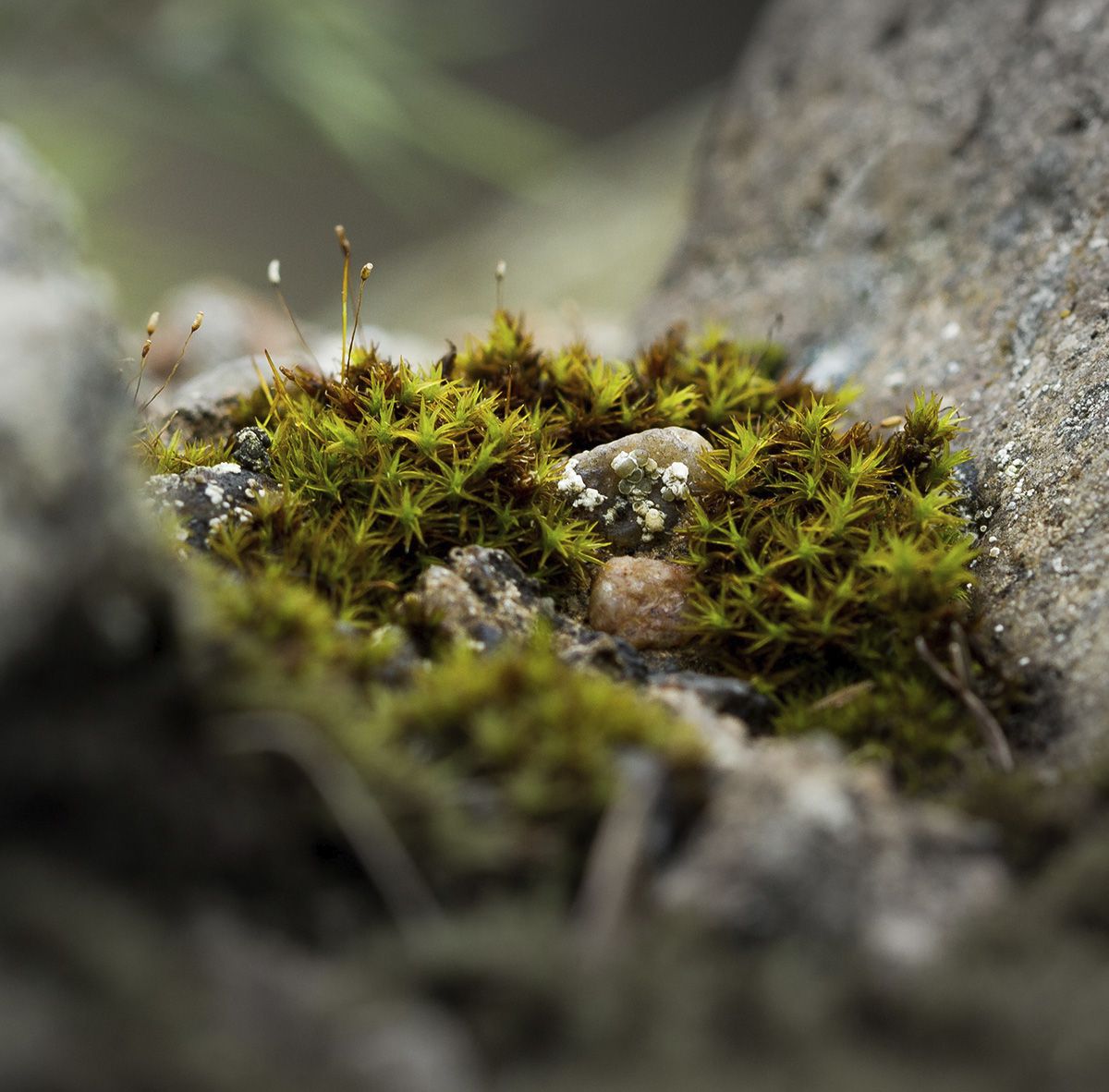 Photo © Andreas Haslinger / Unsplash