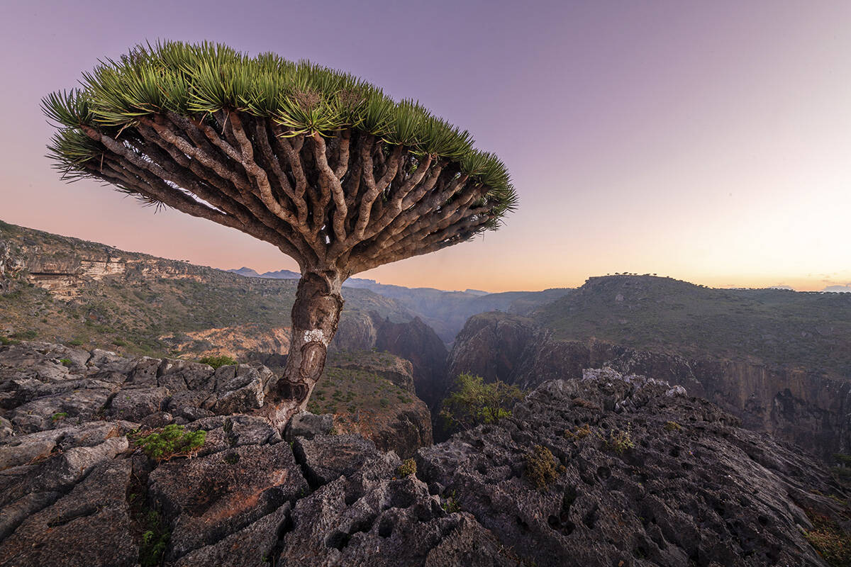 Photo © Andrew Svk / Unsplash