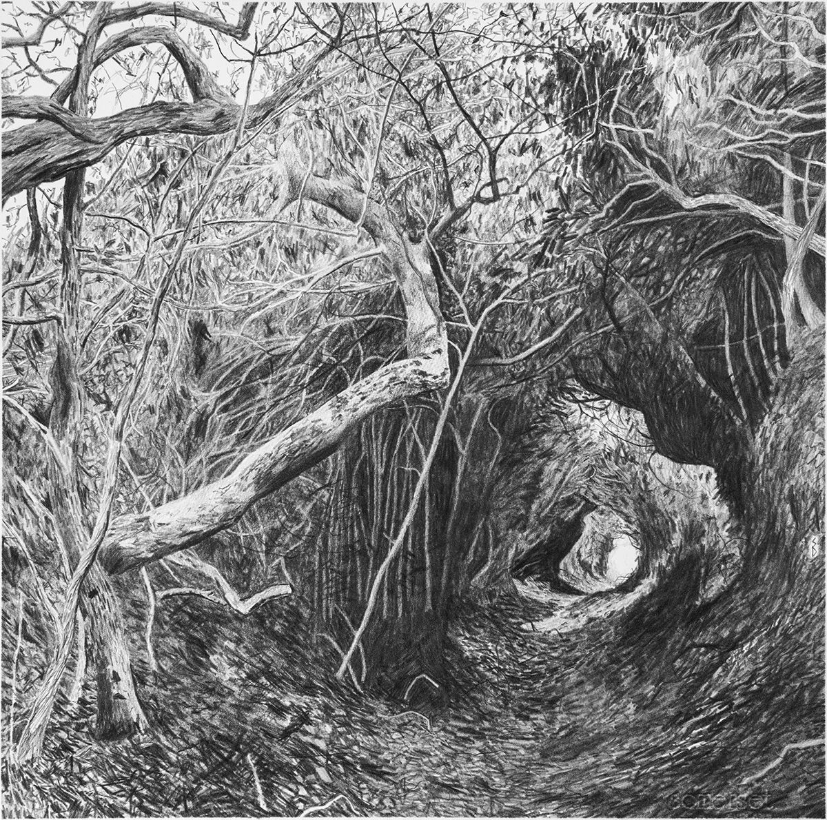 Rexe’s Hollow, 2021 by Stanley Donwood www.whistleblowergallery.co.uk