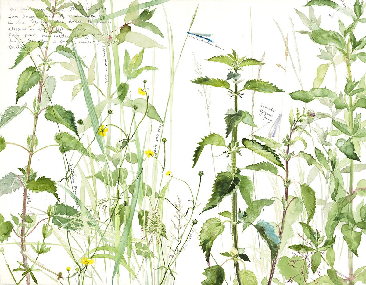 Nettles on the River Bank by Emma Chambers www.emmachambersart.com