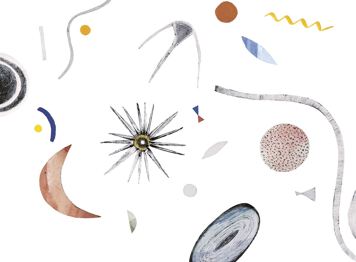 Plankton by Beatrice Forshall from The Book of Vanishing Species