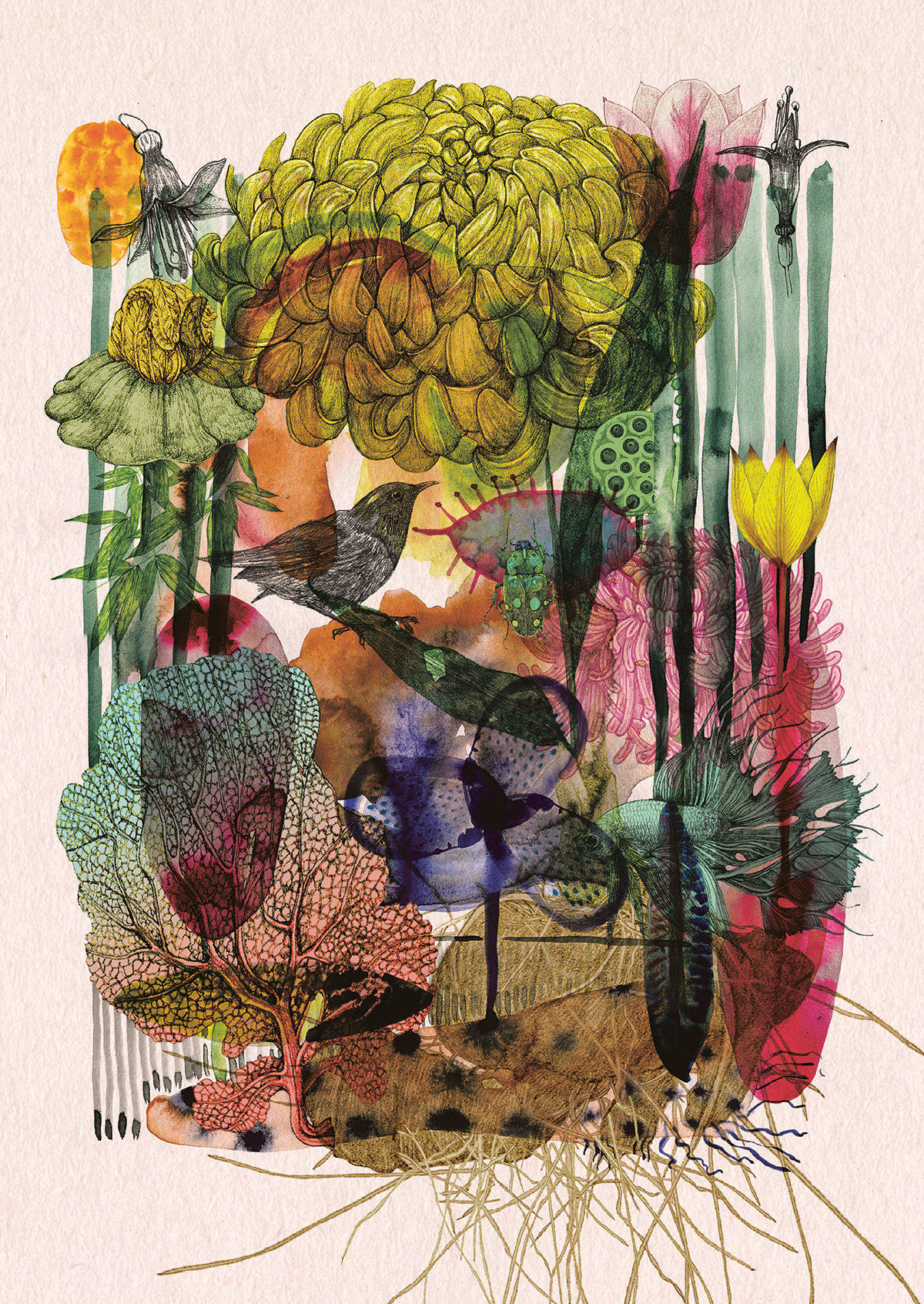 Artwork by Lucille Clerc www.lucilleclerc.com