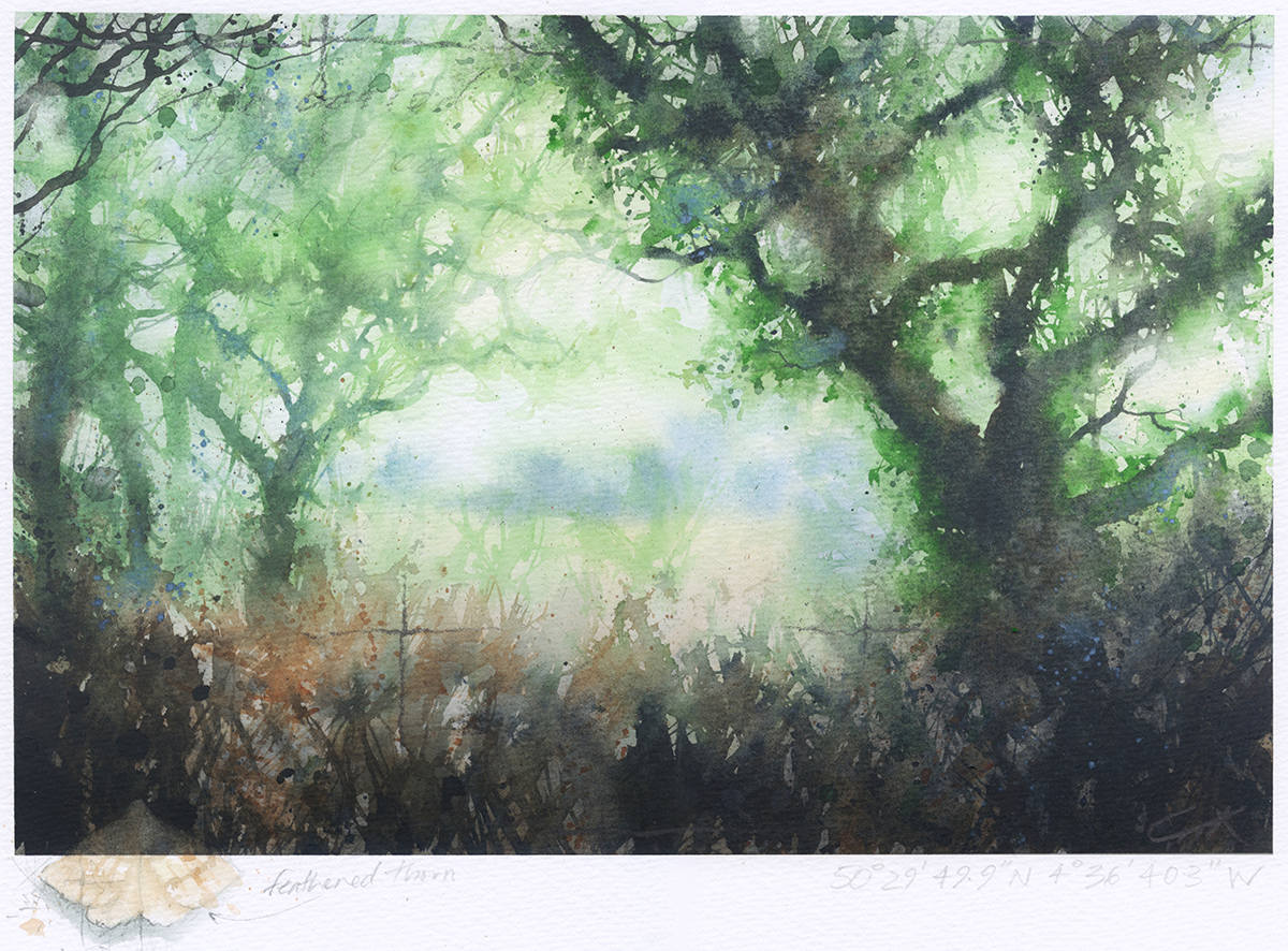 Out from the woods by Gary Cook www.cookthepainter.com