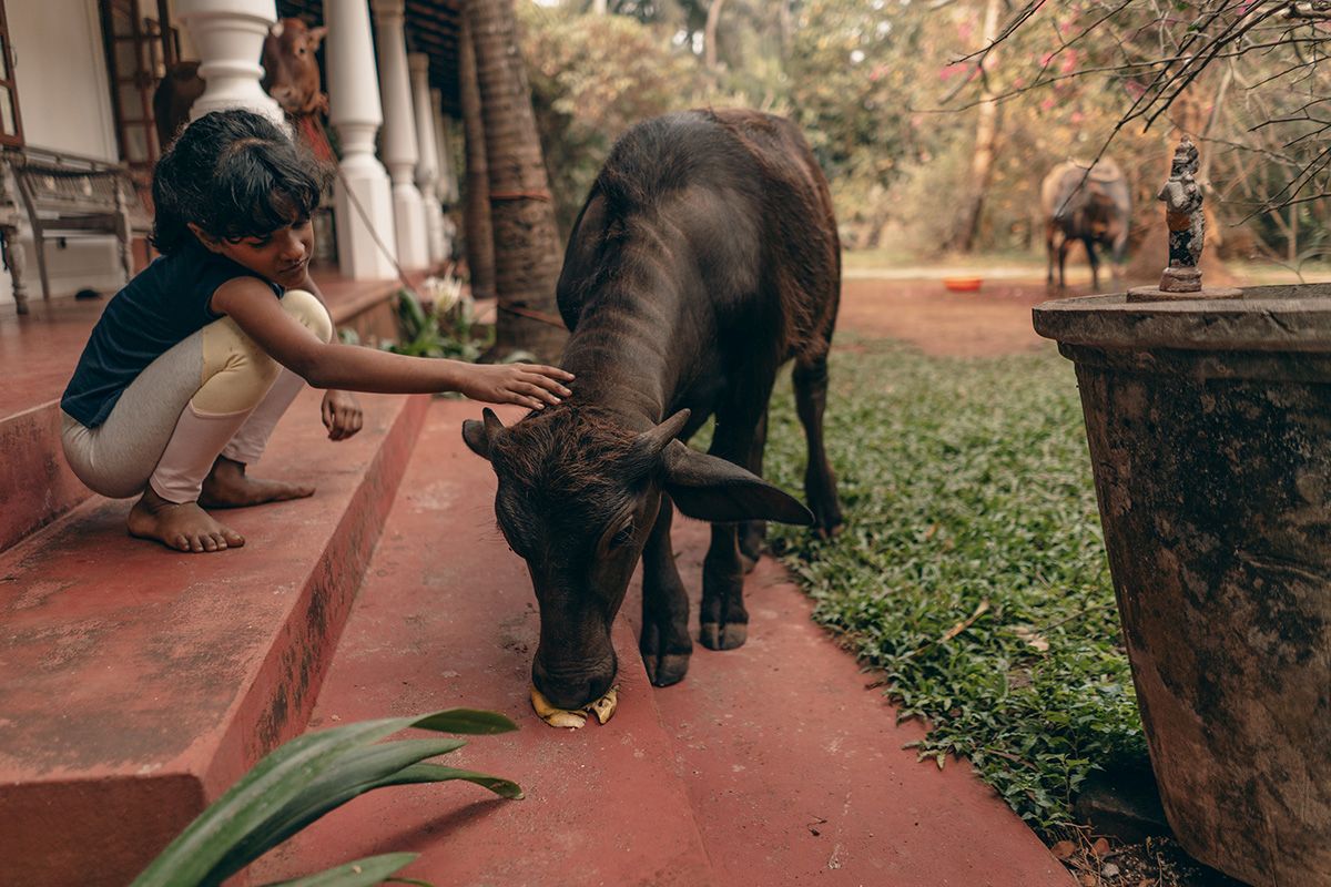 Tvisha with baby water buffalo Rama, photo: Justyna Traczyk