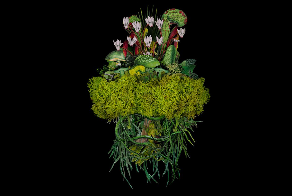 Fabulous Fungi, Upspring by Jana Nicole www.jananicole.com