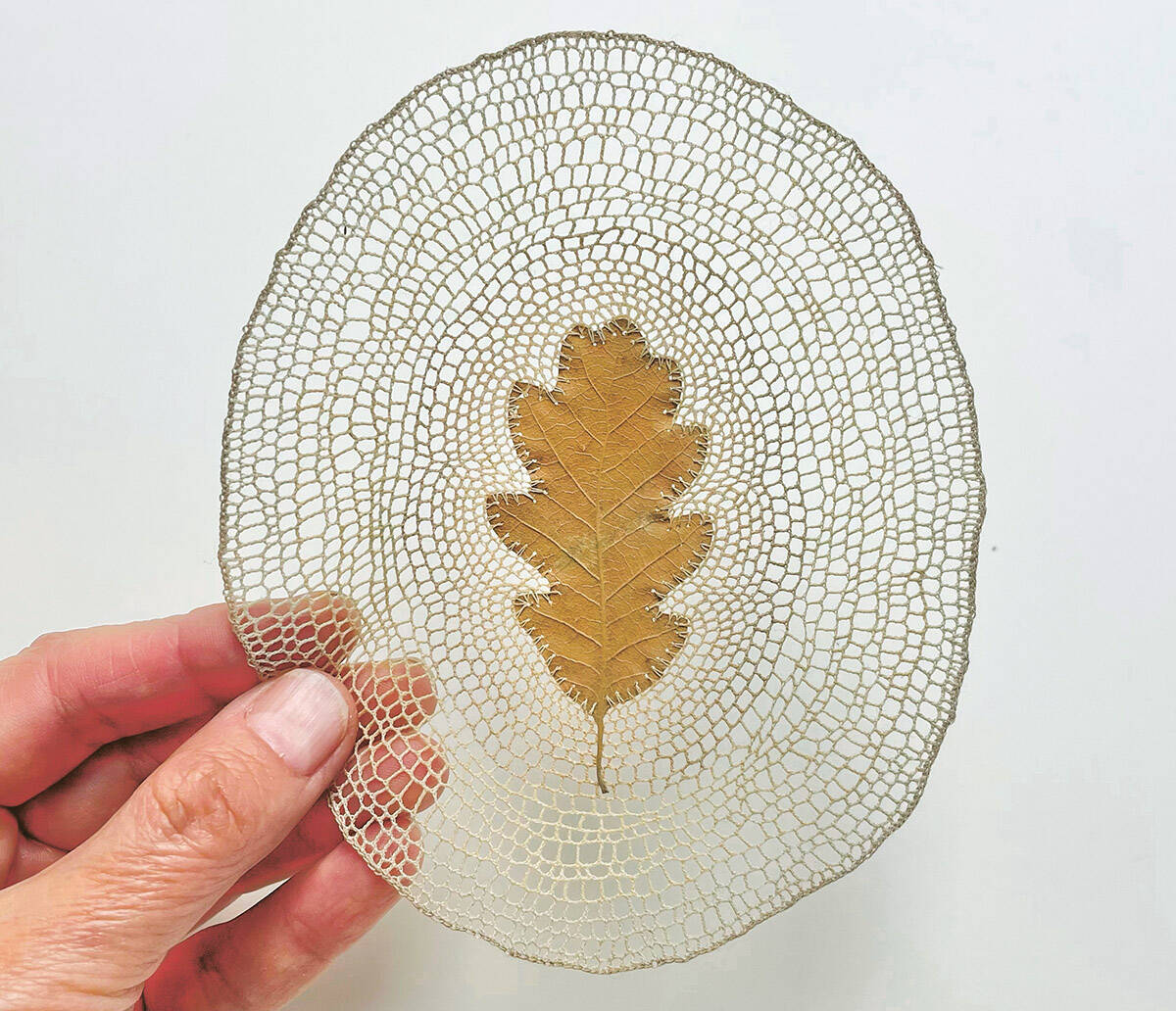 Time (Autumn 2024) by Susanna Bauer www.susannabauer.com