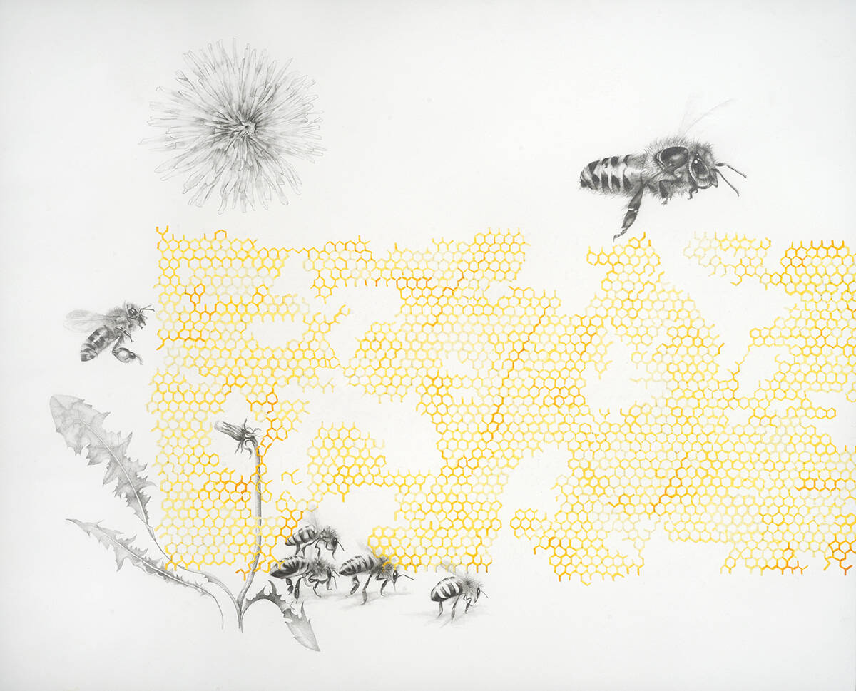 Bee 27 (Drone Comb), 2011 by Rebecca Clark www.rebeccaclarkart.com