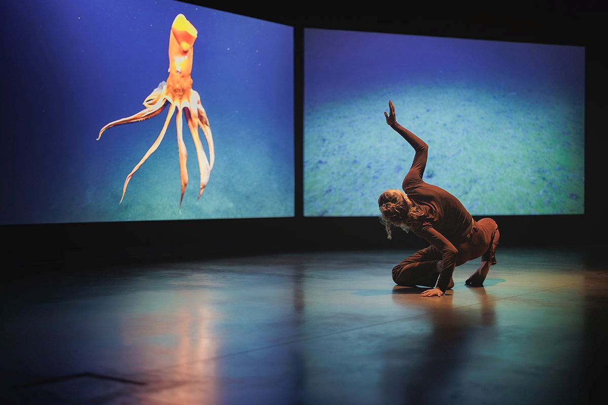 Emma Critchley, Soundings, John Hansard Gallery, 2025. Courtesy artist. Photo: Nosa Malcolm