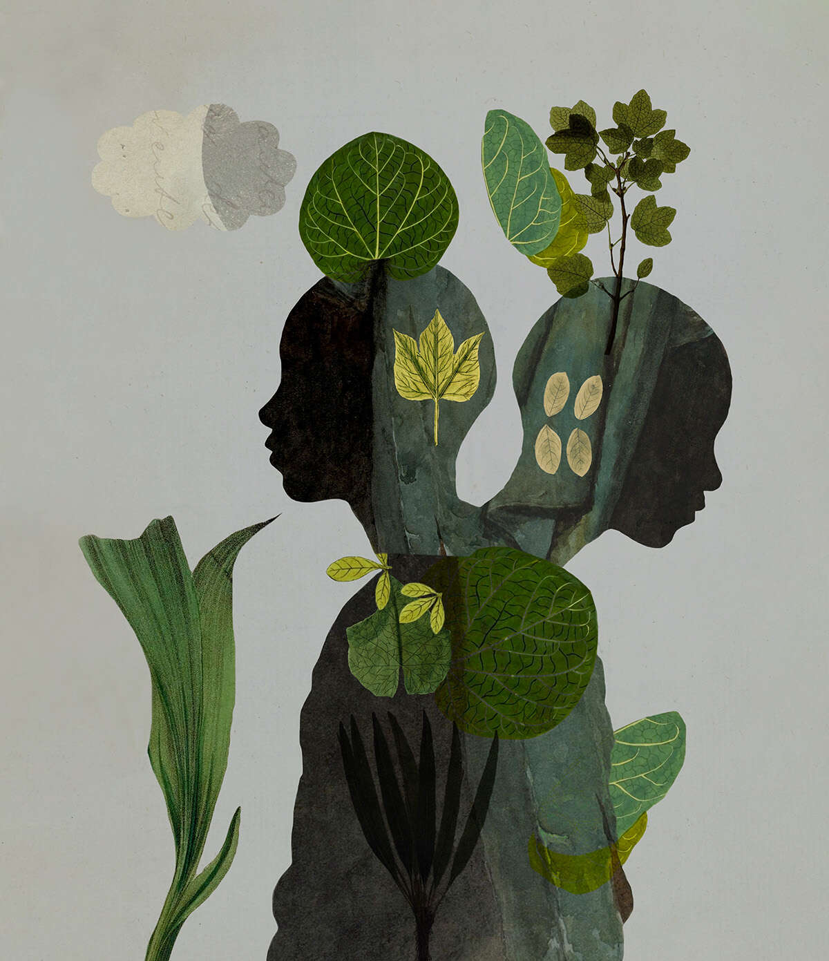 Artwork by Sarah Jarrett www.sarahjarrettart.com