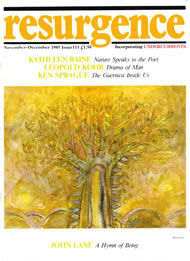 issue cover 113