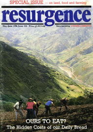 issue cover 116
