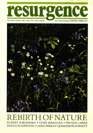 issue cover 136