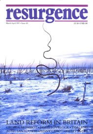 issue cover 181
