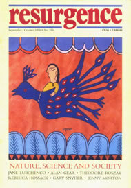 issue cover 190