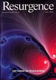 issue cover 216