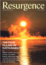issue cover 231
