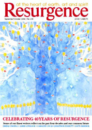 issue cover 238