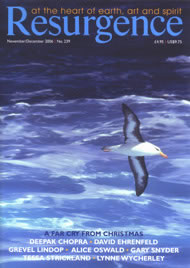 issue cover 239