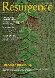 issue cover 244