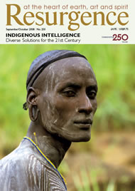 issue cover 250