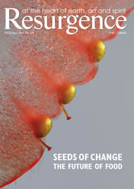 issue cover 259