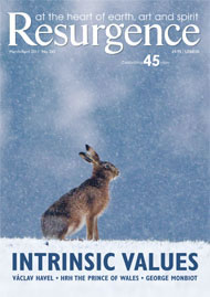 issue cover 265