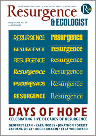 issue cover 296