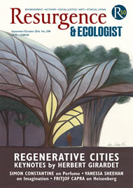 issue cover 298