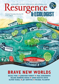 issue cover 299