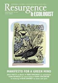 issue cover 301