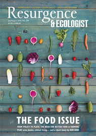 issue cover 309