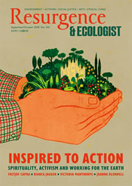 issue cover 310