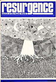 issue cover 36