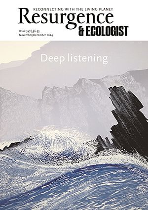 issue cover 347