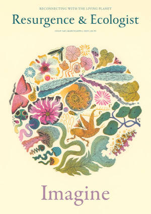 issue cover 349