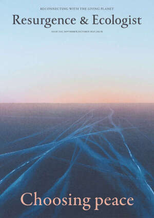 issue cover 352