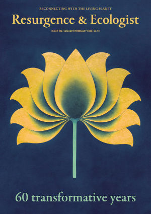 issue cover 354