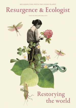 issue cover 356