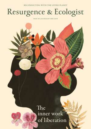 Resurgence and Ecologist magazine issue cover 357