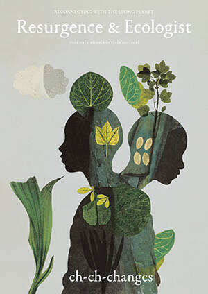 Resurgence and Ecologist magazine issue cover 358