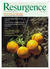 back issue 251