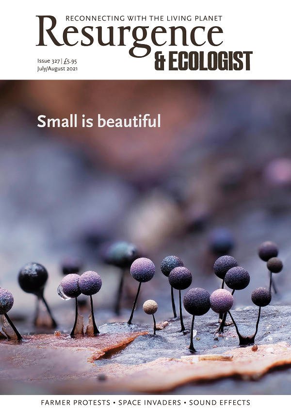 Resurgence • Issue 327 - Small is Beautiful