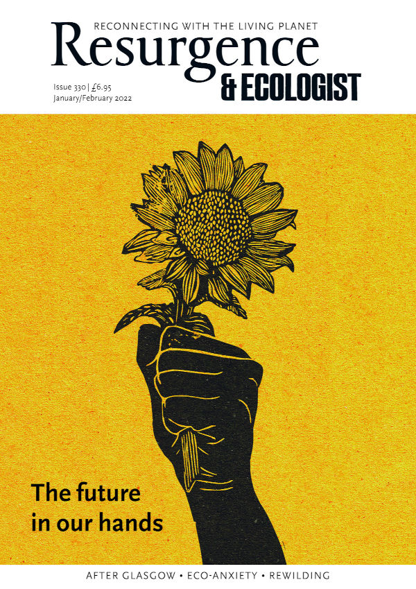 Resurgence & Ecologist issue cover 330