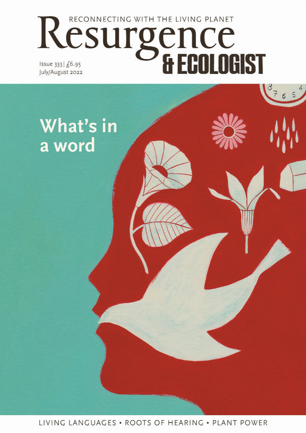 Resurgence & Ecologist issue cover 333