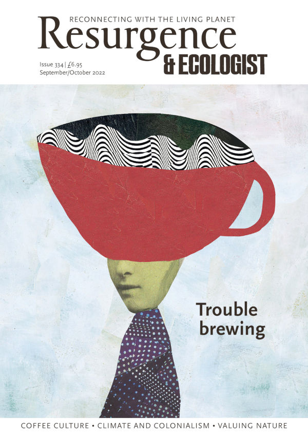Resurgence & Ecologist issue cover 334