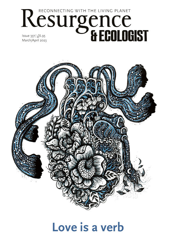 Resurgence & Ecologist issue cover 337