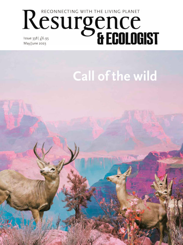 Resurgence & Ecologist issue cover 338